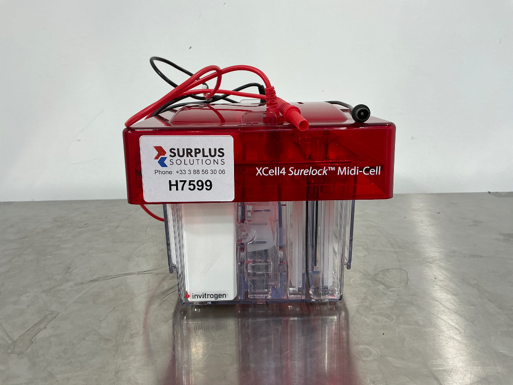 Image of Invitrogen XCell4 Surelock Midi-Cell Electrophoresis Cell Bloc